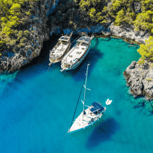 Boat Trips