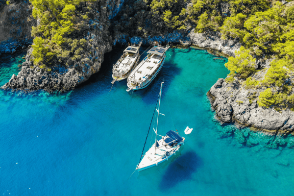 Boat Trips