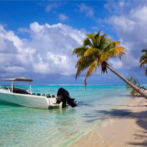 Île aux Cerfs Speedboat Adventure with BBQ Lunch