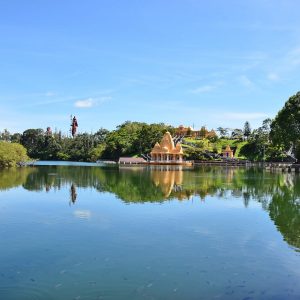 South Sightseeing Tour