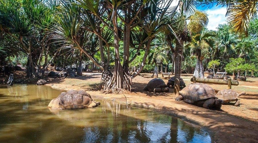 South East Sightseeing Tour - Image 2