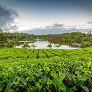 South East Sightseeing Tour