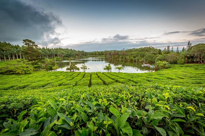 South East Sightseeing Tour