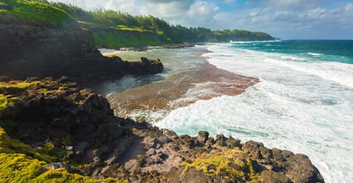 South East Sightseeing Tour - Image 4