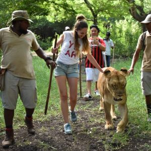 Casela Nature Parks Adventure – Wildlife & Thrills in Mauritius